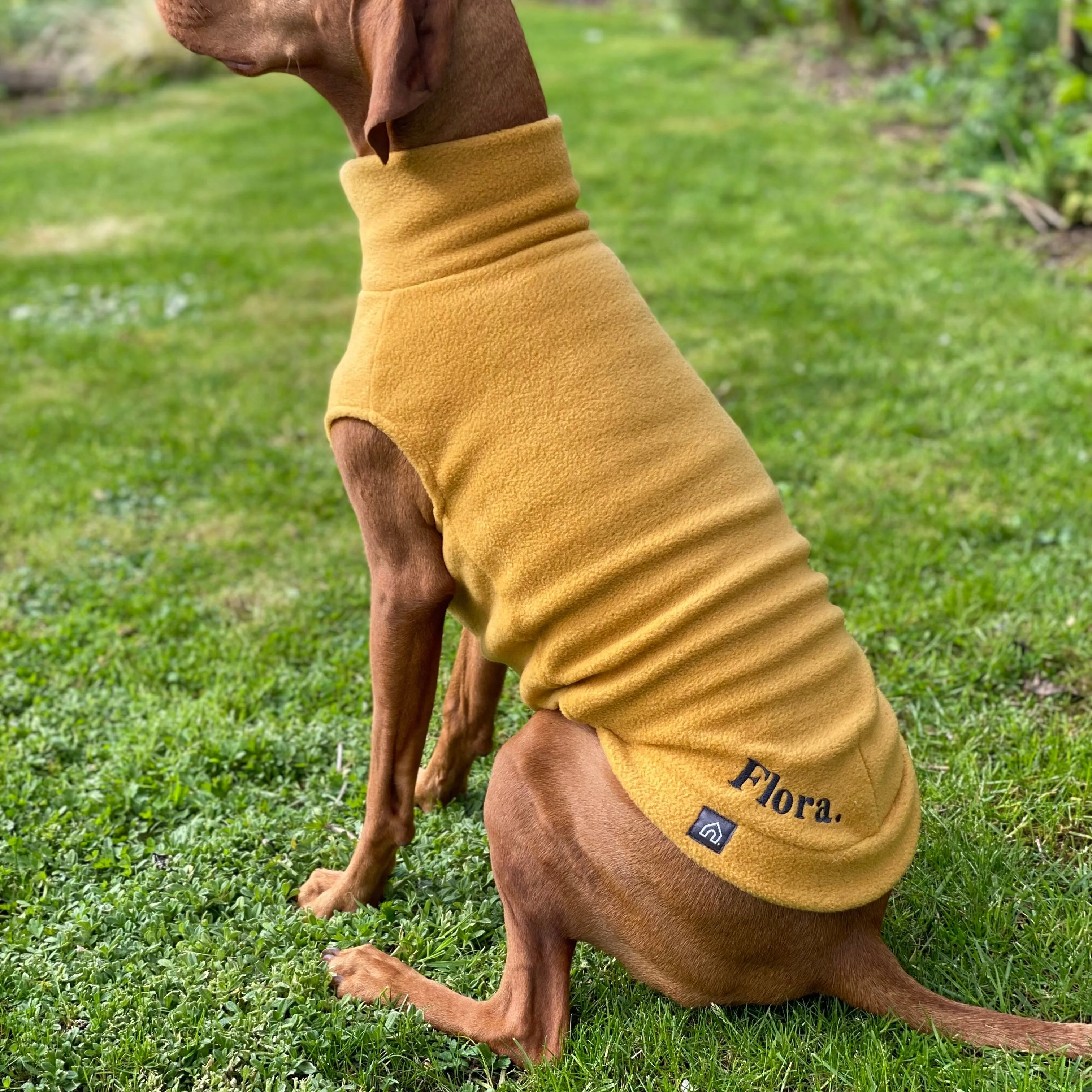 Thumbnail 8